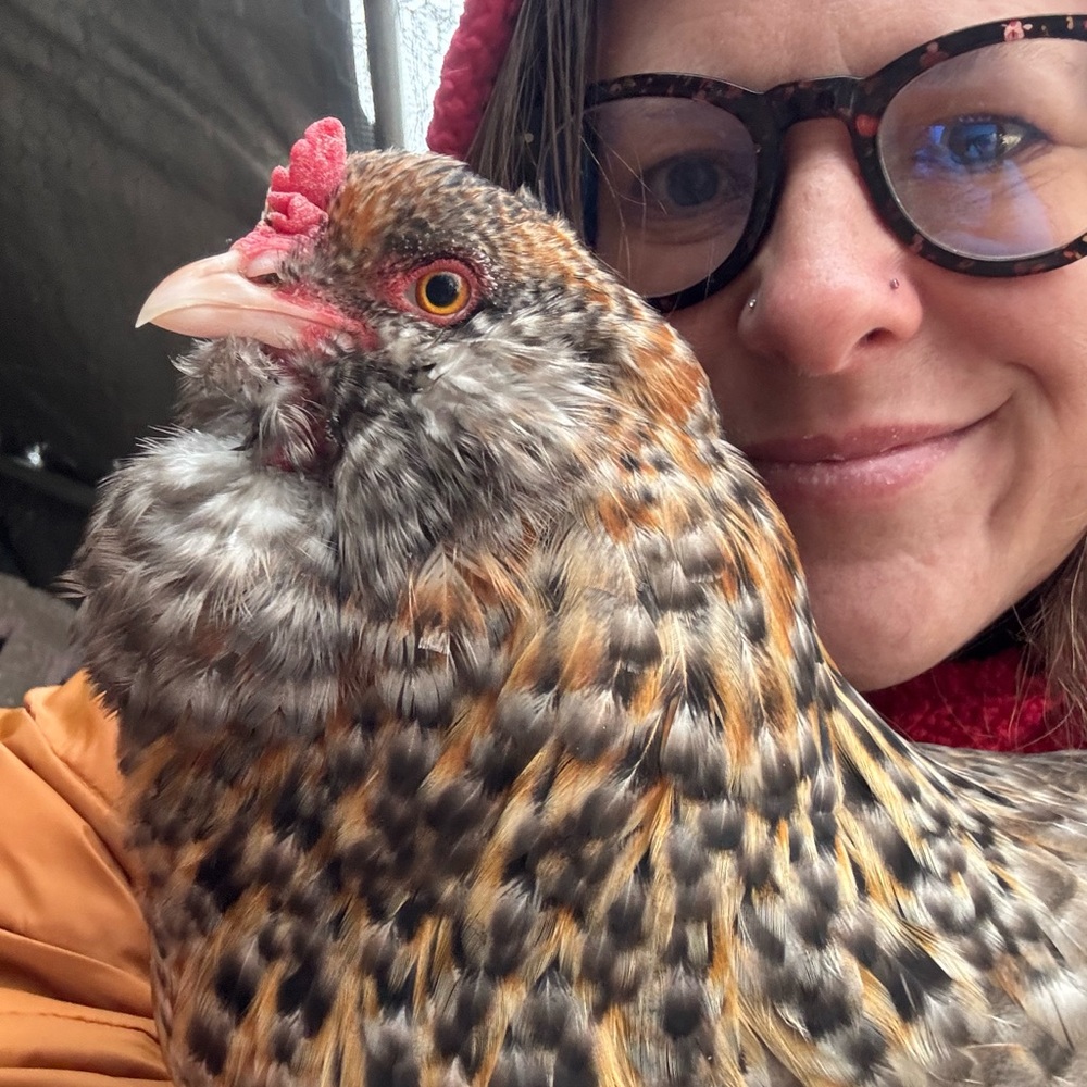 Meet your Posher, Mandee